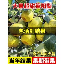 ����������������޽�ɳ��ͥԺ�����ϱ����Nֲ���������ͺ�����