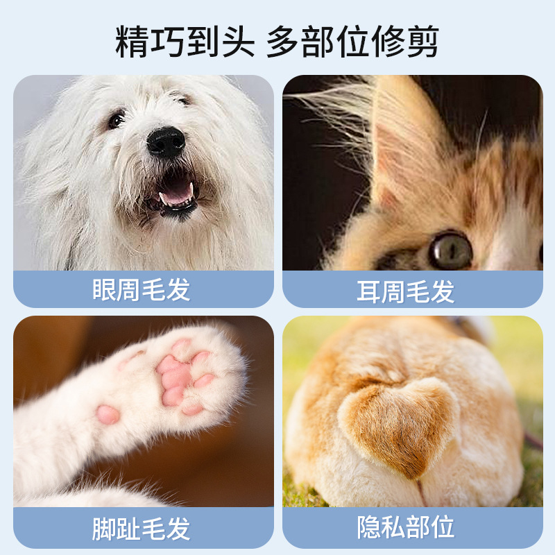 Pipitao perro gato pelo del pie LED impermeable pet afeitadora eléctrica clipper herramienta suministros para mascotas