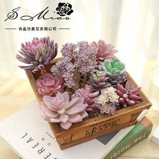009��ɫϵ�ж��⻨�^����DIY�OӋ�ڒ컨����������A�S��