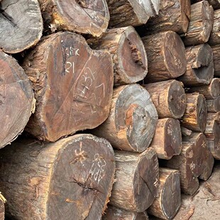 ������֦ �t��֦ �t�F�� �Ҿ߲� ������ ���ԭľ