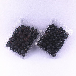 �¿�500G�b�{ݮ��һ����ˮ���в�ݮС���Ѱ��b����͸�������wһ��