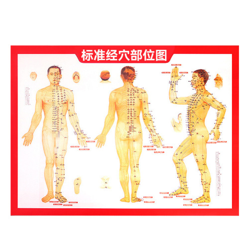 64 high-definition human body acupuncture point map. Manufacturer wholesale human body meridian acupuncture point book, moxibustion reference chart, moxibustion chart.
