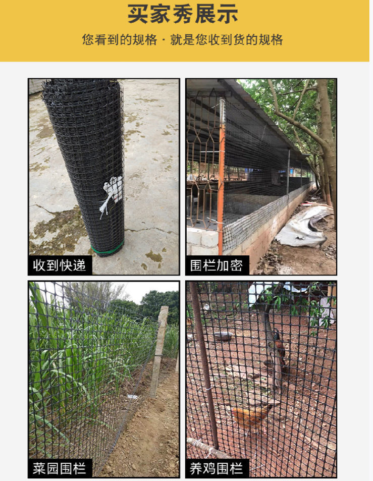 97d09815-3865-419c-ab26-8ff19252c921.jpe