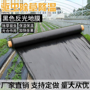 Special Mulch Film for Vegetable Growing, Agricultural Planting, Thickened Anti-Aging Black Mulch Film, Plastic Film for Insulation, Moisturizing and Protection