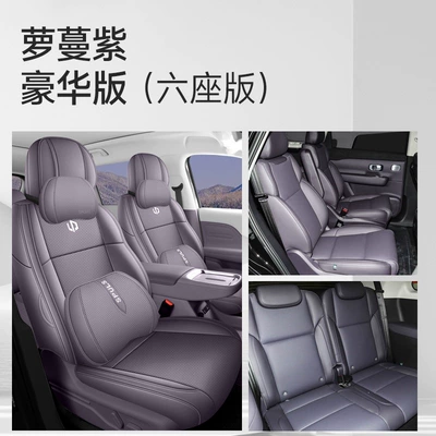 all seats, made with Nappa leather, Modelə uyğun (Original) oturacaq örtükləri - lomon-purple-six-seater-luxury-version-fully-enclosed-zero-run-c16