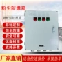 定制防爆粉尘extbiiic防爆箱