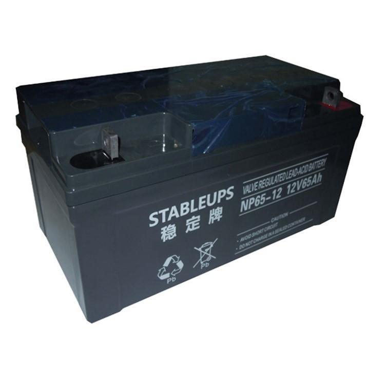 稳定牌蓄电池NP55-12 12V55AH机房储能 直流屏 UPS配套