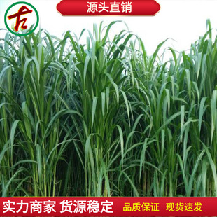 ����ʿ�ߵ����������N��������ļ��������Bֳţ���~