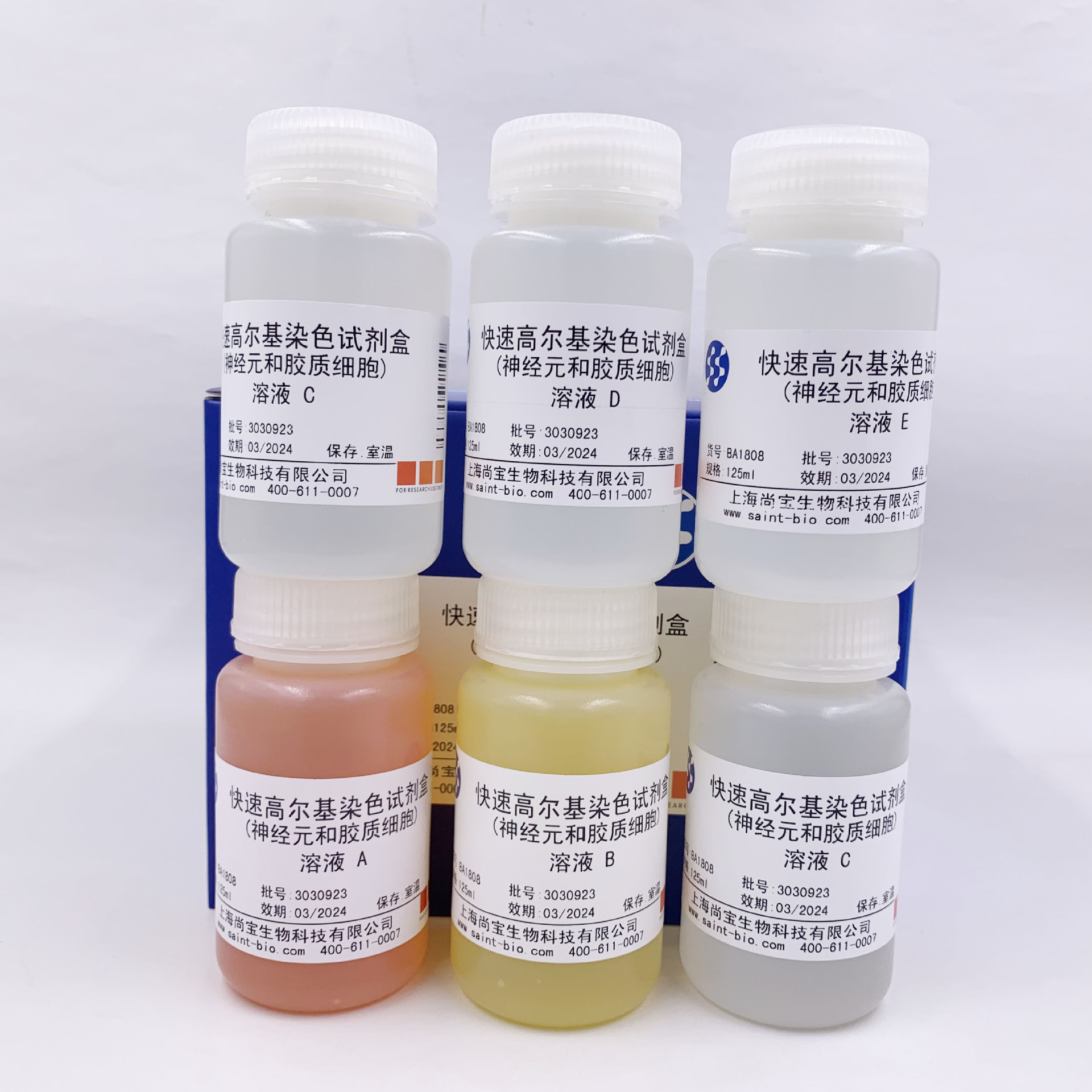 BA1808   快速高尔基染色试剂盒（神经元和胶质细胞）