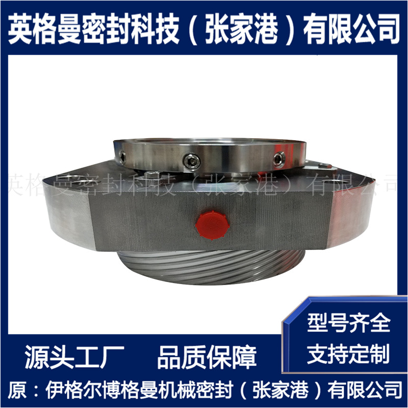 H75F2机械密封 H75F2/58-G6机械密封 前置泵驱动端机械密封