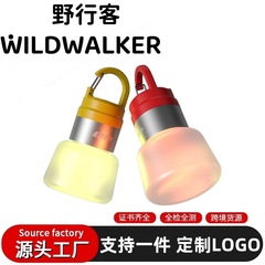 跨境新款创意水瓶灯户外露营钥匙扣多场景使用悬挂彩光氛围灯