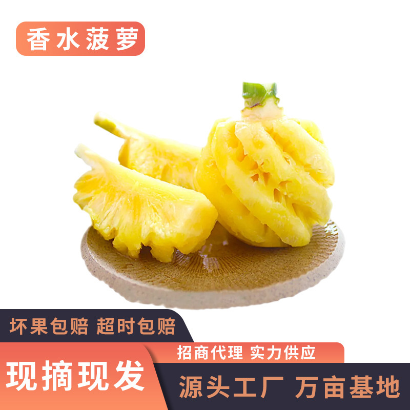 Fresh Pineapple Perfume, Large Pineapple with a Crisp, Sweet and Refreshing Scent, 1.5kg-4.5kg Pieces of Freshly Picked Pineapple for Dropshipping Fresh Pineapple Perfume, Large Pineapple with a Crisp, Sweet and Refreshing Scent, 1.5kg-4.5kg Pieces of Freshly Picked Pineapple for Dropshipping