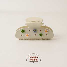 新款小清新高质感水果抓夹闺蜜礼物中号外贸发夹亚克力流行发饰夹