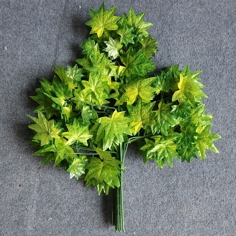 12 Hojas de arce verde