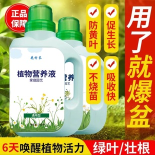 �I�BҺ�����~��ʾGֲ���~��ʝ�s�͠I�BҺ ˮ��ֲ��ͨ��