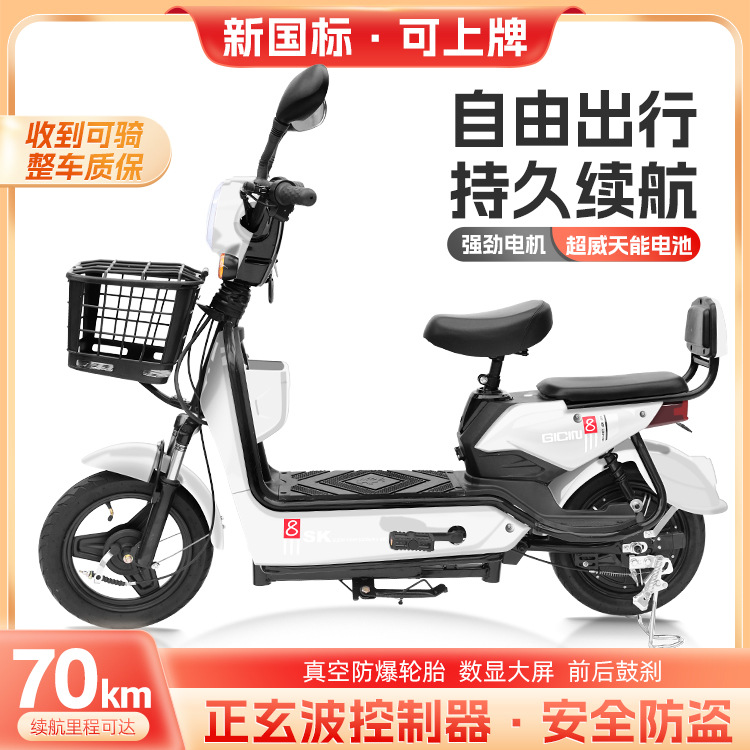 Bicicleta Eléctrica Golden Eagle para Comercio Exterior al por Mayor, Scooter Eléctrico para Adultos de Dos Plazas, Vehículo Eléctrico Ligero de Dos Ruedas con Batería de Larga Duración.