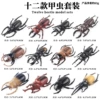 BX Beetle 12 Set