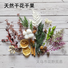 ɭϵ��Ȼ�ɻ��ɹ���������޹ϞƬϞ�Ʋ��ϰ���޹Ϟ�T���İ����