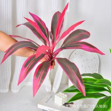 �羳������������~ 18�^ľ��Ѫ�� �콶�Gֲ�҃��쾰���˽��b���