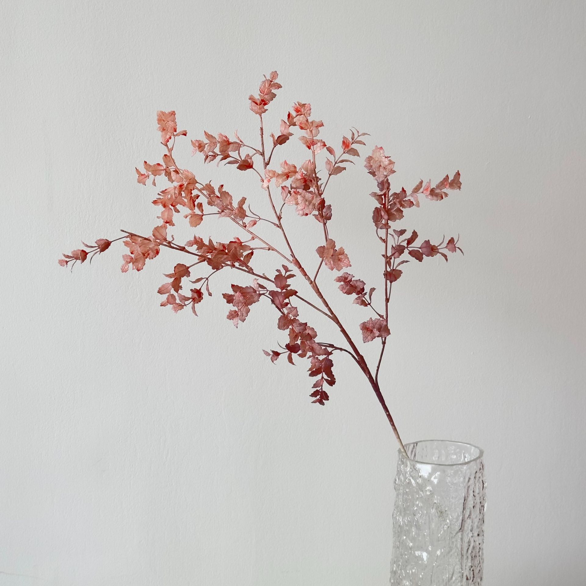 Hojas de menta púrpura de pasta de frijol