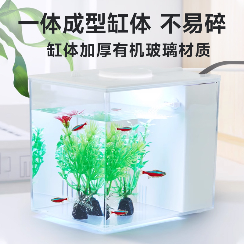 Acuario Ecológico de Escritorio con Filtro Externo e Iluminación para Sala de Estar image 3
