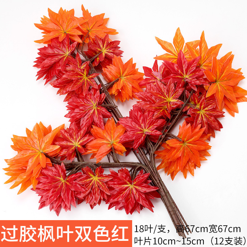 Two -color red -colored red maple leaf red