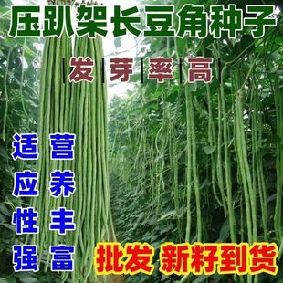 �L���ǷN�����������ļ����߲˷N�Ѵ�ȫ�ݶ����綹�N�o�ܶ���ܿ��