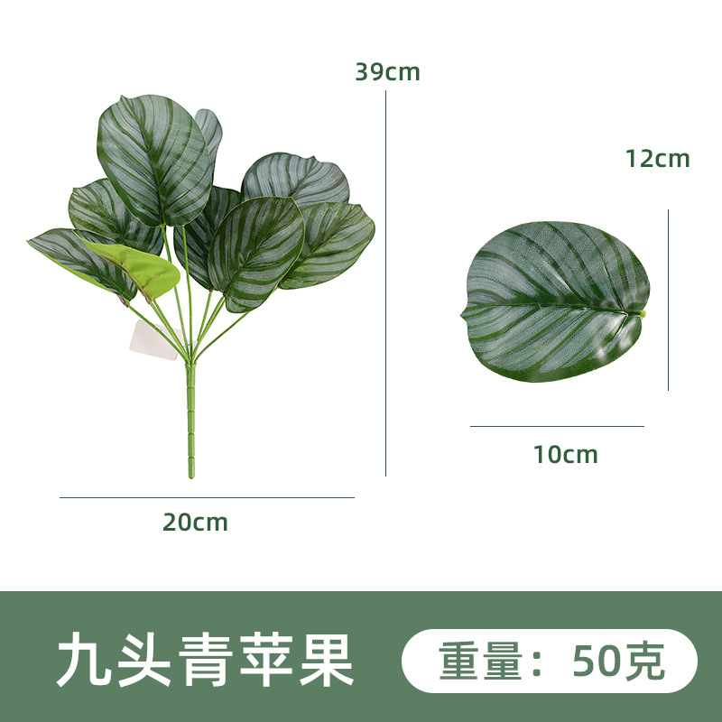 YH1255-380-9 아홉 녹색 사과 3 #