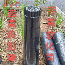 ���S��������S����ͲͰ�����S�NֲͲ�����Sͨ����