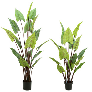 ����ʺ��󱱚W�����ˮ�^���|ݸ�S��ֱ�N�پGֲֲ�������辰���S