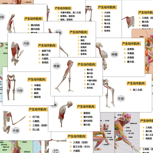 Physiological sticker