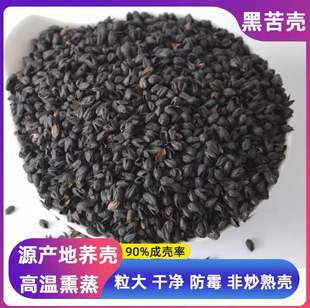 ��ϴɢ�b�ڿ��w�������^���������о���^оӲ��͸��