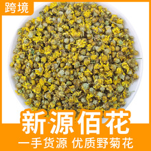 厂家源头直供野菊花菊花茶批发菊花当季现采源头工厂价格优惠批发