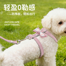 宠物用品狗狗牵引绳莫兰迪宠物狗胸背牵引绳套装厂家批发