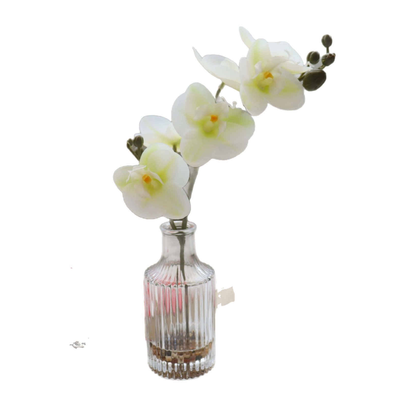 Orquídea de agua falsa mariposa de agua falsa flor de simulación bonsai decoración creativa decoración verde artificial simulación maceta image 6