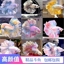 ̩�����~�Ꭷ�^�p�~���׾W�t�鼆�~С�~�ב��˺��B�ͻ����Ů�~