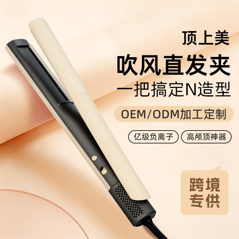 New Model of Wet and Dry Dual-Use High-Speed Hair Dryer and Straightener with Negative Ions, Portable Hair Straightener, Unisex Straightening Iron, Customizable