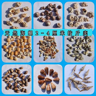 ��Ȼؐ�����ݰ���2-4�����~���쾰diy���N�[��������ղ���