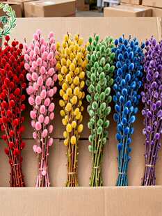 �y���滨�߲��r֦�������ܼtɫ��Ͱ�y��ˮ�Bֲ��ɻ������b���