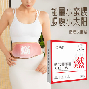 General Rengan Rengan Patch Self-Heating Moxibustion Herbal Steam Moxibustion Hot Compress Belly Waist and Abdomen Self-Heating Burning Patch