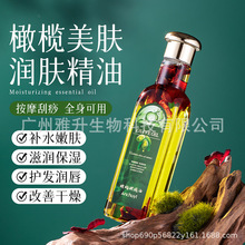 �д����ϙ��Ͱ�Ħ�ͱ����w�����o�¼��w�o�����w���͸��ƴֲ�