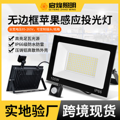 新型縁なし誘導投光器50W100W屋外リモコン誘導リンゴ投光器看板照光