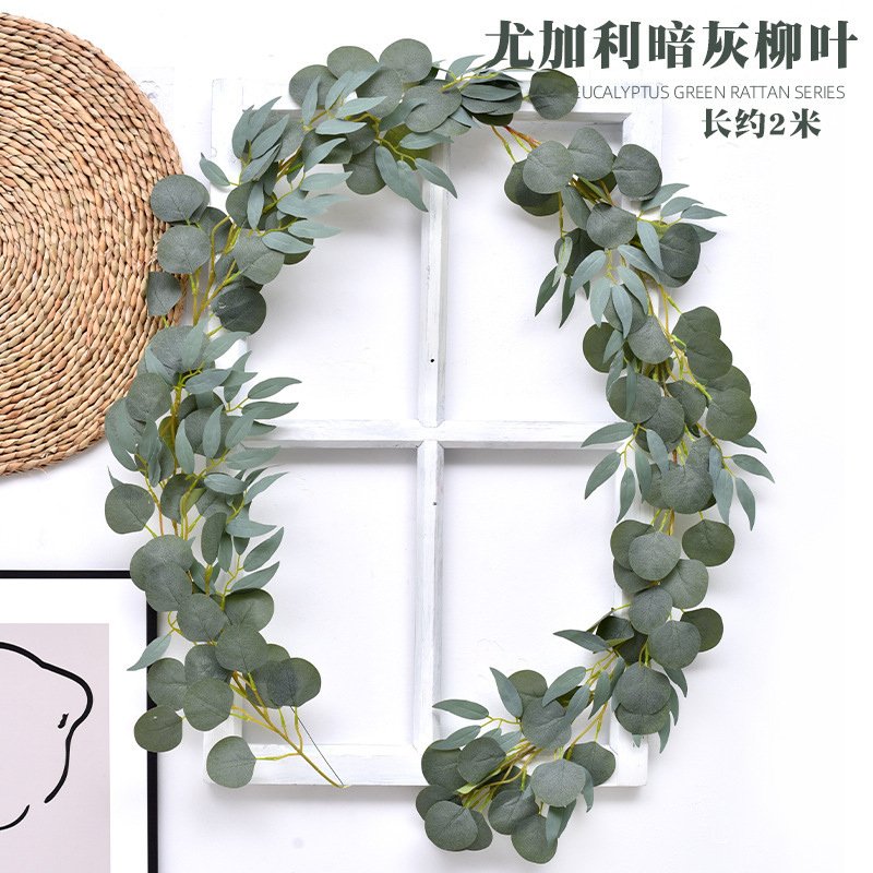 尤加利藤条
