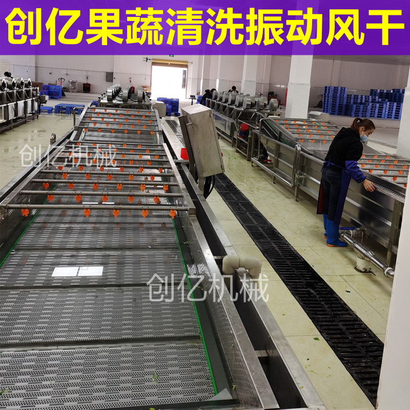 央厨清洗风干流水线 果蔬气泡清洗机 大型胡萝卜全自动清洗设备