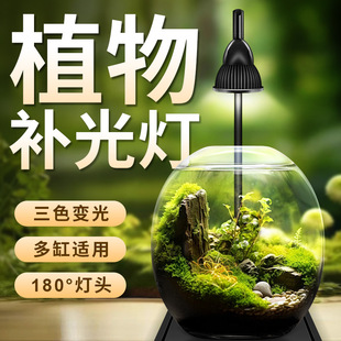 ���S�~��LED΢���^ֲ���a�������ˮ������ˮ�ݶ���̦�\���L��