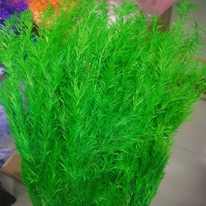 Eternal Life Ritter Thousand -layer Golden Flower Flower Eternal Leaf Material Bouncing Flower Insert Decoration Decoration Materials