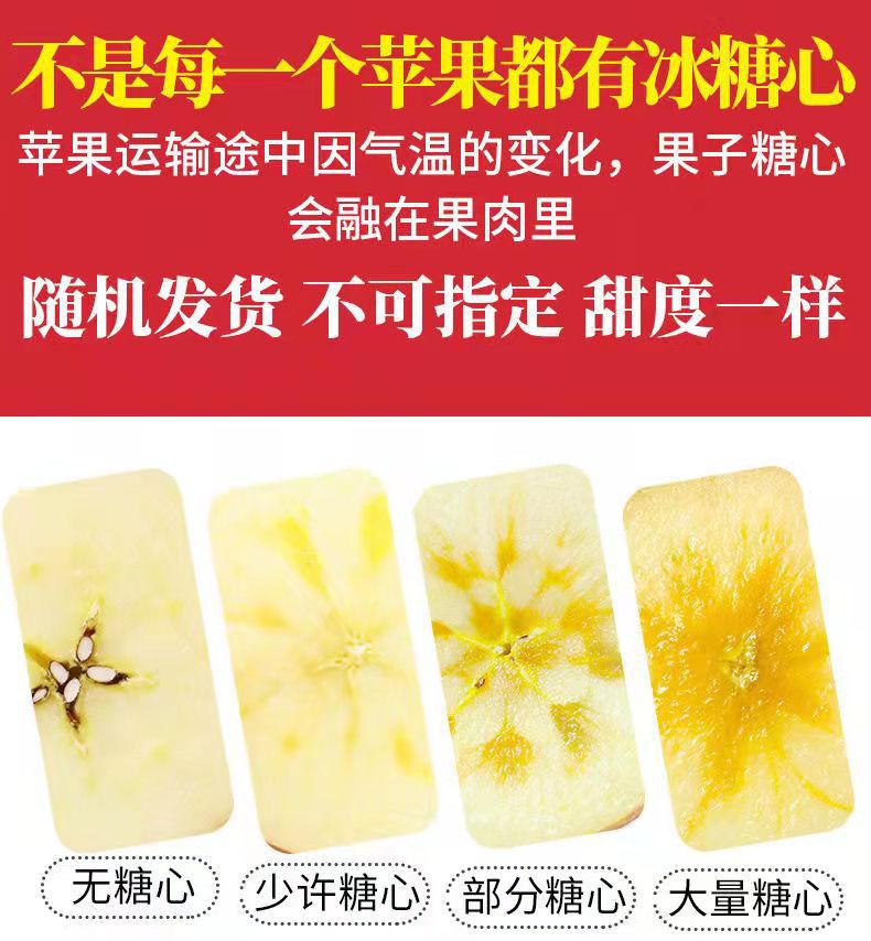 微信图片_202111062048197