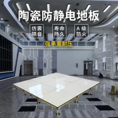 40厚セラミック全鋼製静電気防止床 架空型 静電気防止機室 学校 配電室 600*600*40