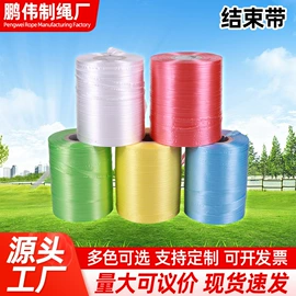 捆绑带;捆扎绳;结束带