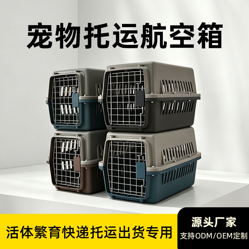 Caja de transporte de transporte de mascotas personalizada, caja de transporte de perros pequeños y medianos conveniente para transportar fuera